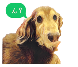 325792274