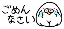 325843360