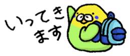 325843362