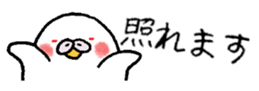 325843370