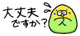 325843371