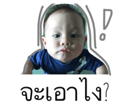 32586390
