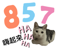 325934820