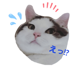 325947030