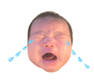 32599769
