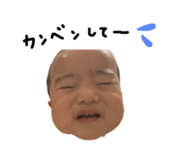 326099554