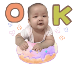 326104447