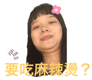 326113383