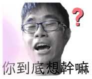 326113387