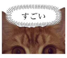326156715