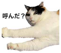 326167350