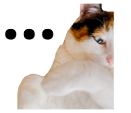 326167353