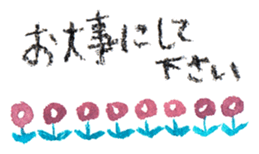 32619008