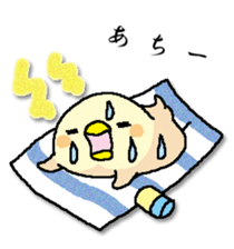 326222558
