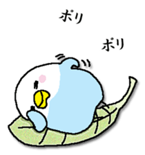 326222565