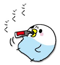326222589