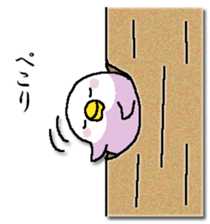 326222594