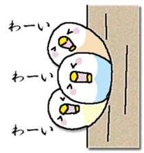 326222595