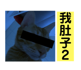 326242155