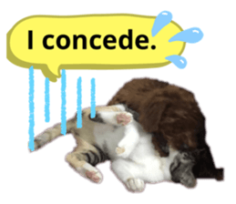 326246333