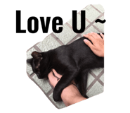 32628216