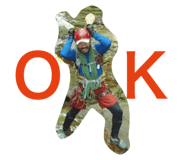 32631459