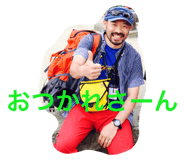 32631462