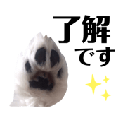 326334993
