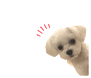 326334995
