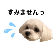 326334996