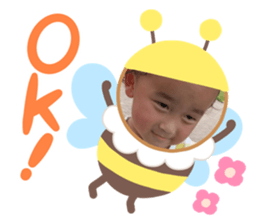 326342018
