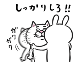 326430288