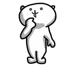 3264634