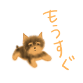 326516521