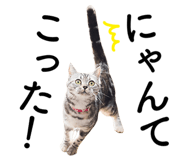 326536037