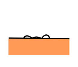 32661813