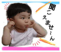 326631561
