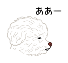32664277