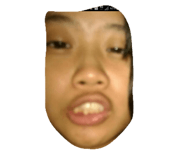 32665040