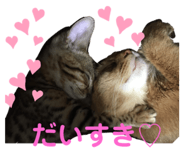 326708100