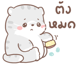 เหมียวขอ รูปที่ 1