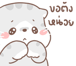 เหมียวขอ รูปที่ 2