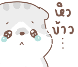 เหมียวขอ รูปที่ 3