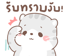 เหมียวขอ รูปที่ 6