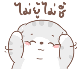 เหมียวขอ รูปที่ 10
