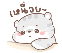 เหมียวขอ รูปที่ 13