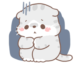 เหมียวขอ รูปที่ 14