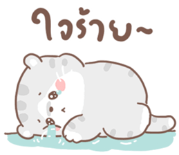 เหมียวขอ รูปที่ 17