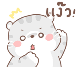 เหมียวขอ รูปที่ 19