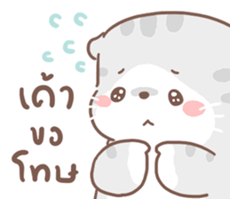 เหมียวขอ รูปที่ 20